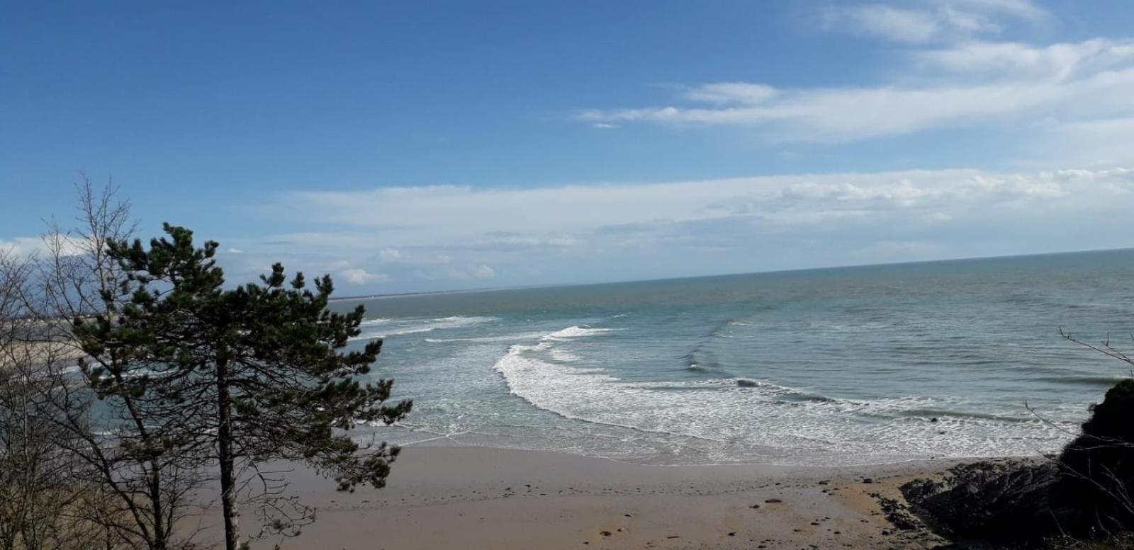 Les Sables D'Or - Joli T3 200M De La Plage Barneville-Carteret Luaran gambar